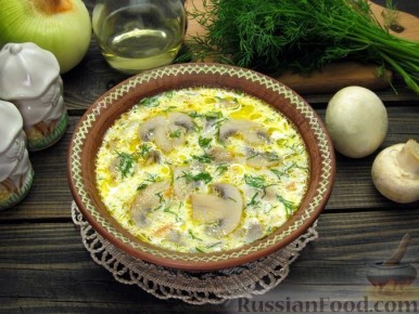 ����, ������� �������� � ����� ����������