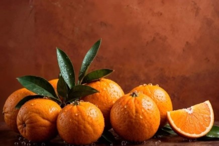 �������� ��� ���� ���������: ������ � ������� ������ ����������� ������