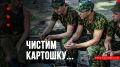Эффективная чистка картошки: секреты военных