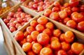 Как мы утратили вкус к настоящей пище