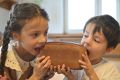 Хлеб из семян подорожника: полезная альтернатива пшеничному продукту