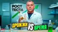 Дрожжи и время: как рождается настоящий хлеб
