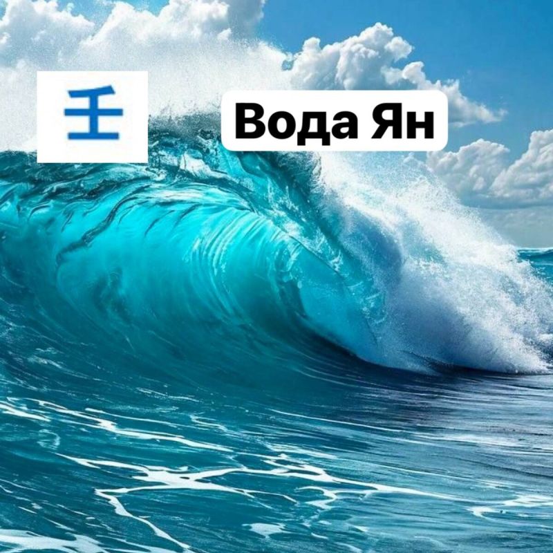 Сила воды Ян: как непрекращающийся поток формирует наш мир